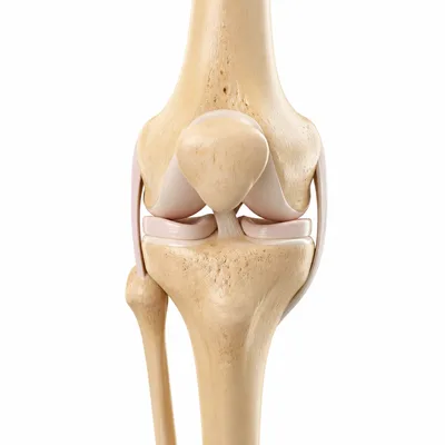 3D icon for arthritis treatment