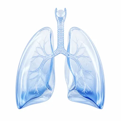 3D icon for asthma treatment