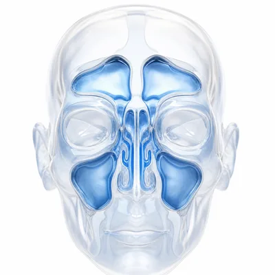 3D icon for sinusitis treatment