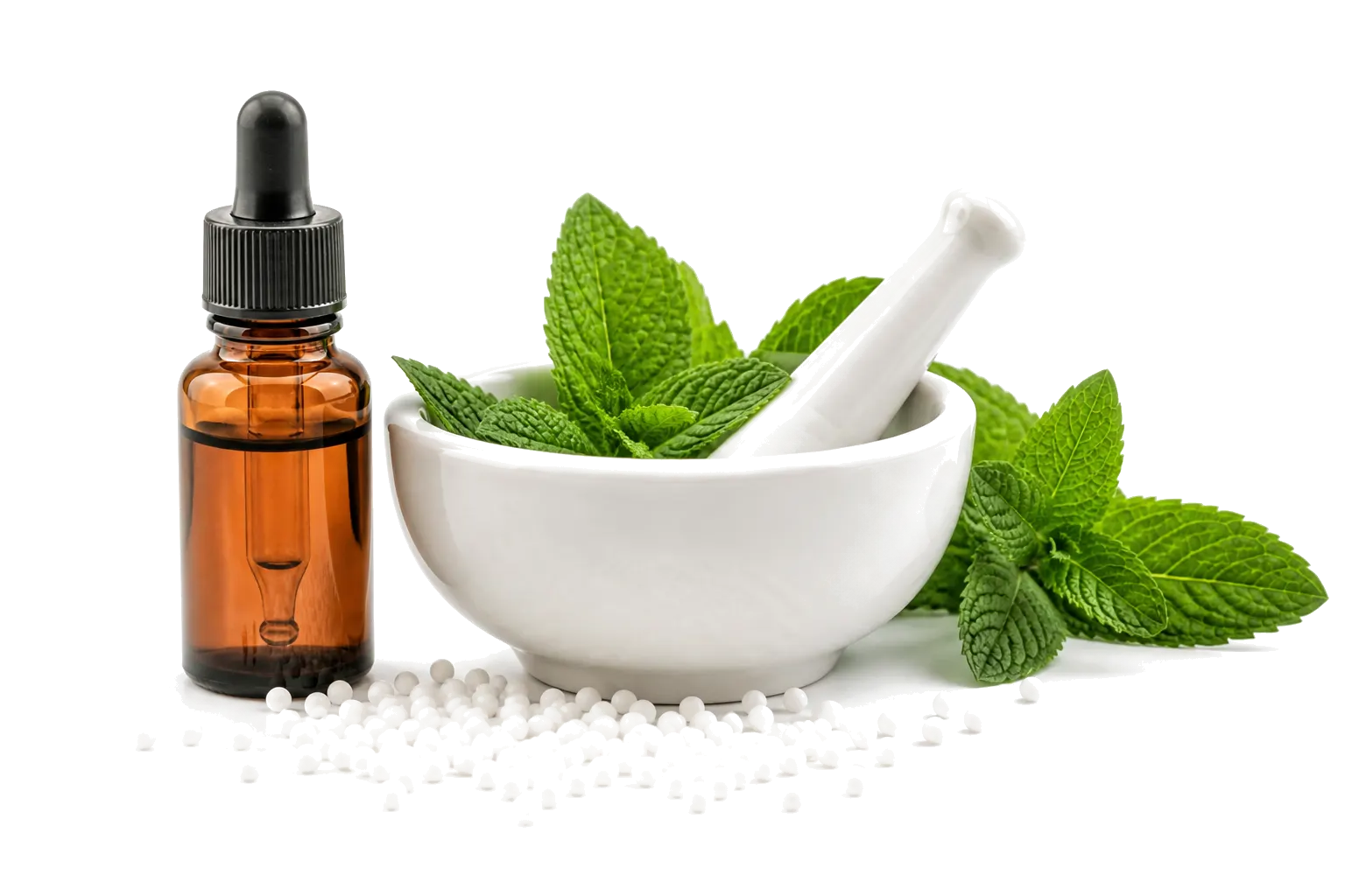 Homeopathic medicine bottle, mortar, pestle and botanical ingredients